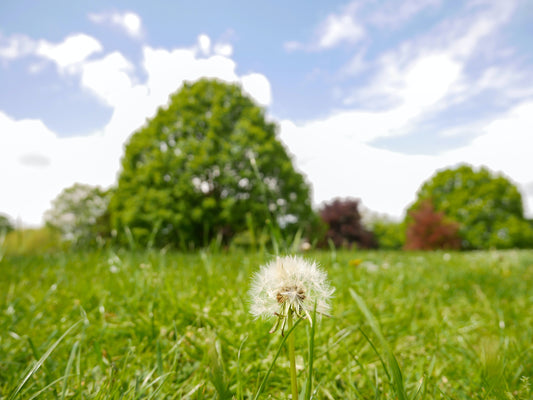 What are Negative Ions and Why are They Good For You?